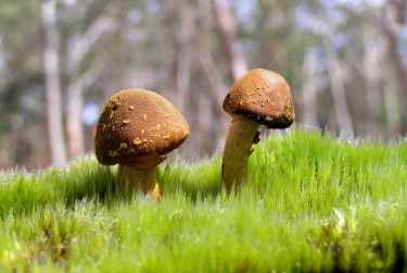 深圳宝安区私人老板放款：轻松融资的秘密通道